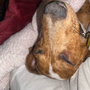 Meet your Posher, Jillian